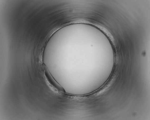 X0000097610905200803211720