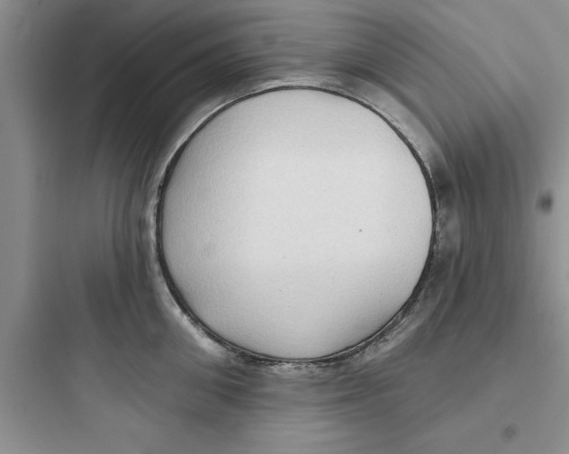 X0000097610906200803211720