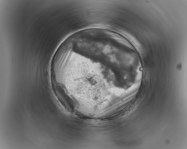 X0000097610907200803211720