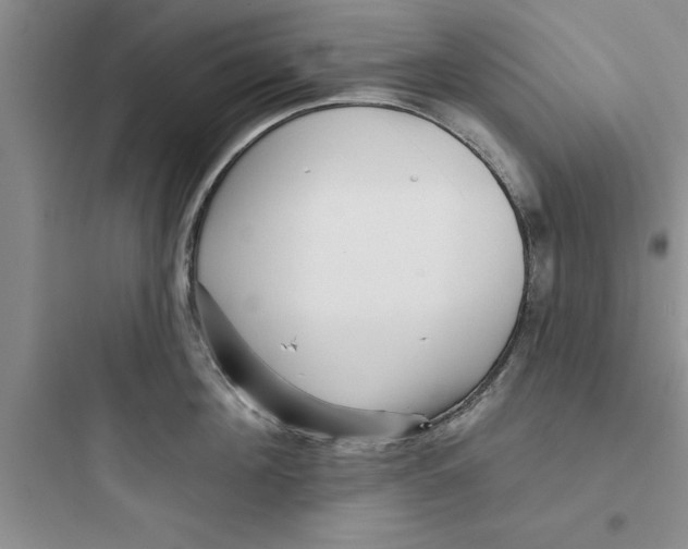 X0000097610908200803211720