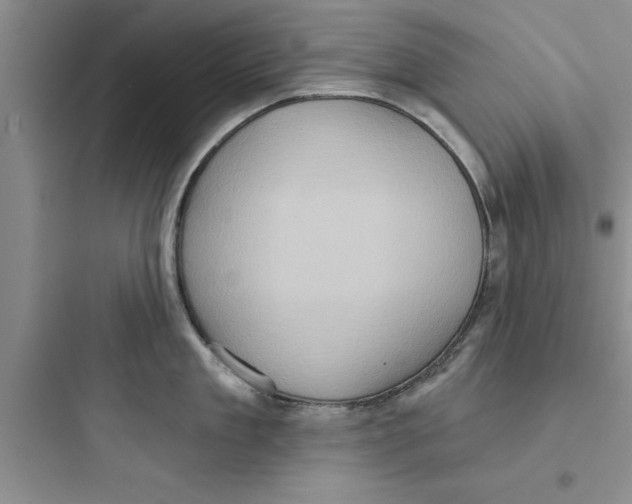 X0000097610909200803211720