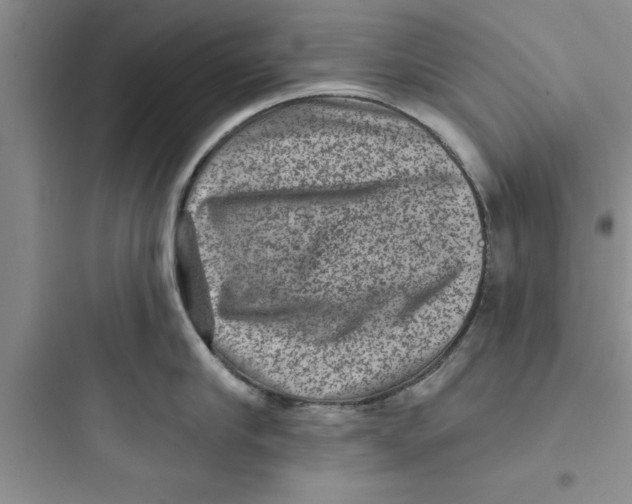 X0000097610910200803211720