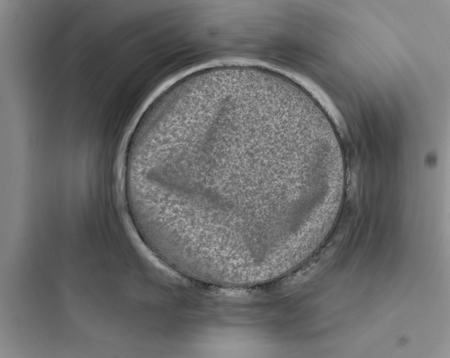 X0000097610911200803211720