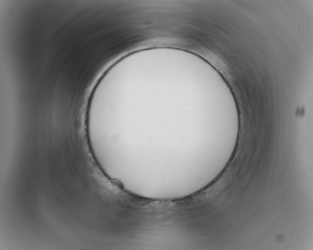 X0000097610912200803211720