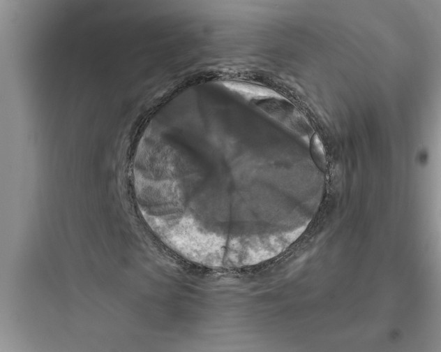 X0000097610913200803211719