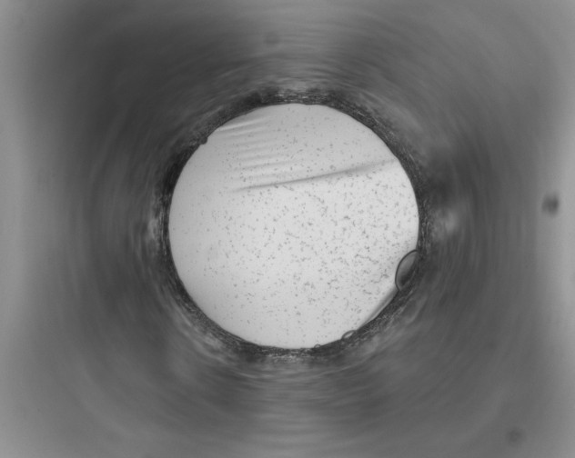 X0000097610914200803211719