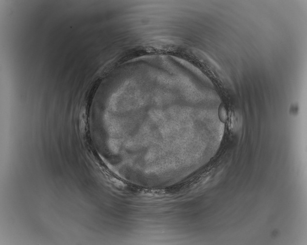 X0000097610915200803211719