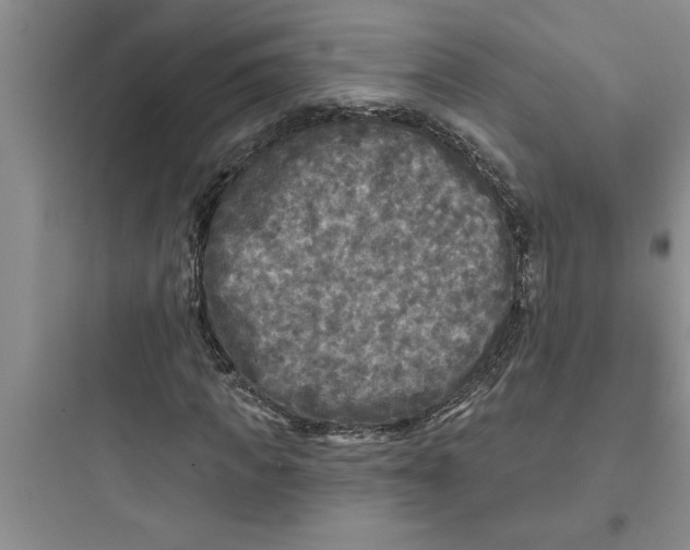 X0000097610917200803211719