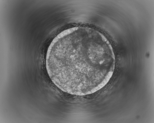 X0000097610918200803211719