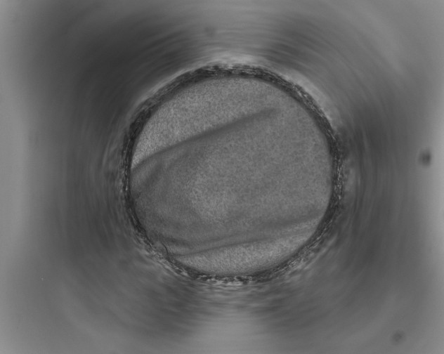 X0000097610919200803211719