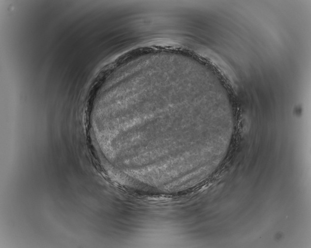 X0000097610920200803211719