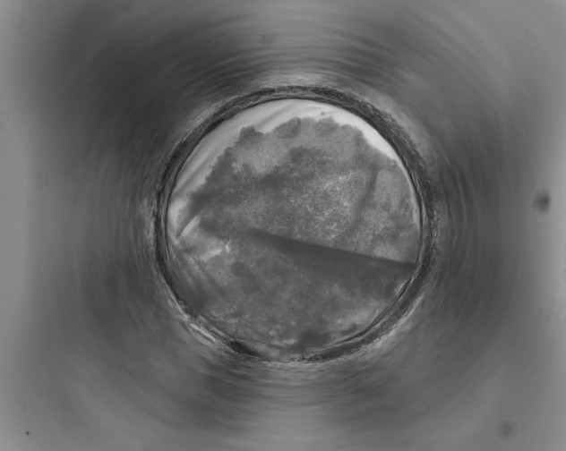 X0000097610921200803211719