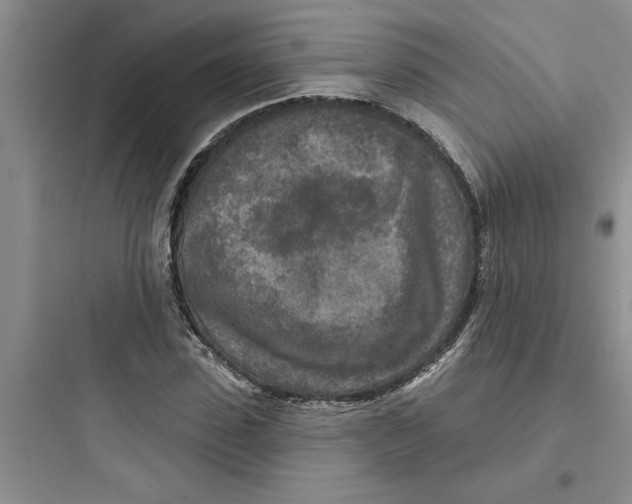 X0000097610923200803211719