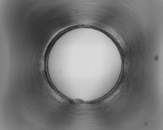 X0000097610924200803211719