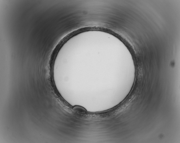 X0000097610927200803211719