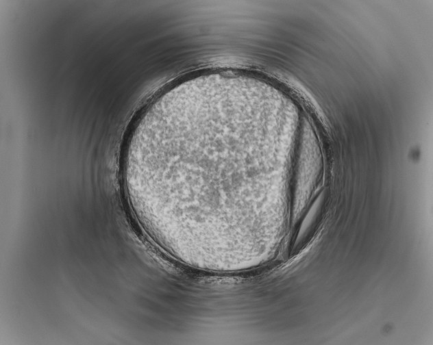 X0000097610930200803211719