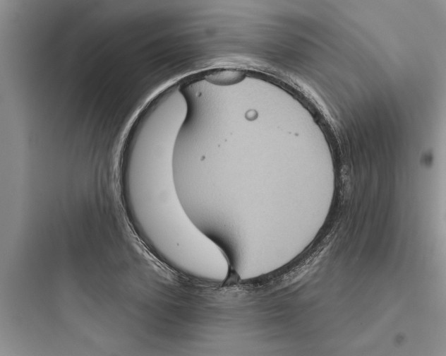 X0000097610931200803211719