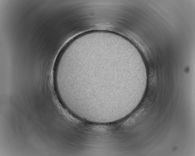 X0000097610932200803211719