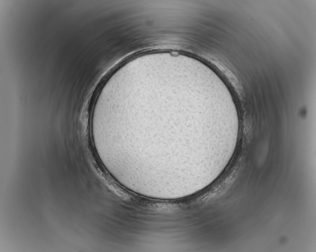 X0000097610933200803211719