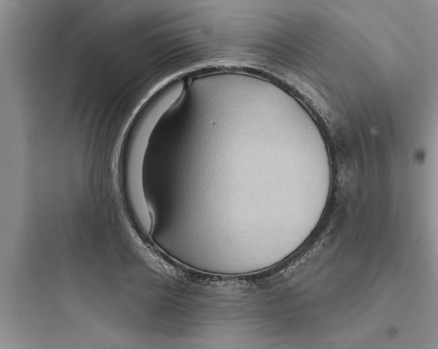 X0000097610934200803211719