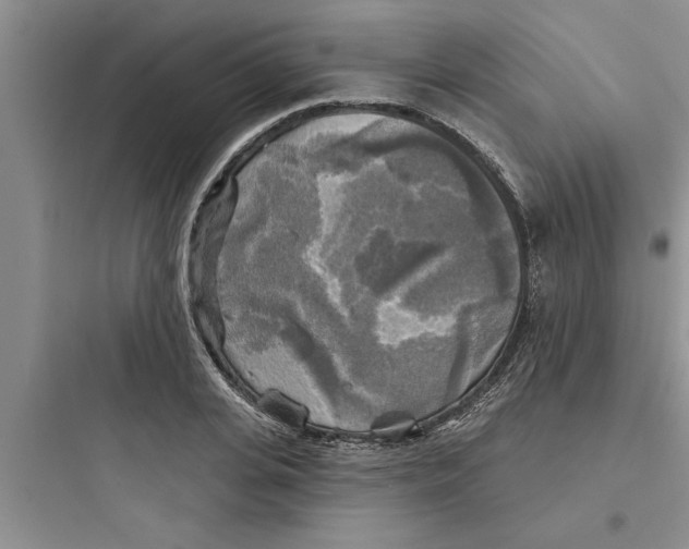 X0000097610935200803211720