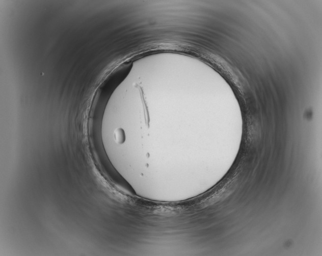 X0000097610938200803211720