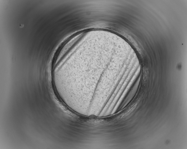 X0000097610939200803211720