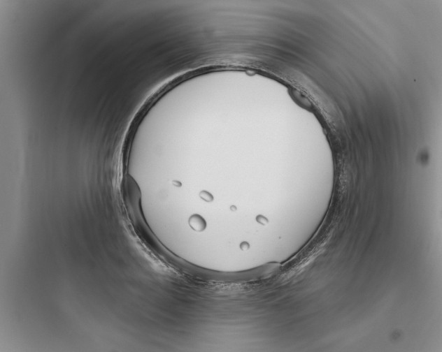 X0000097610940200803211720