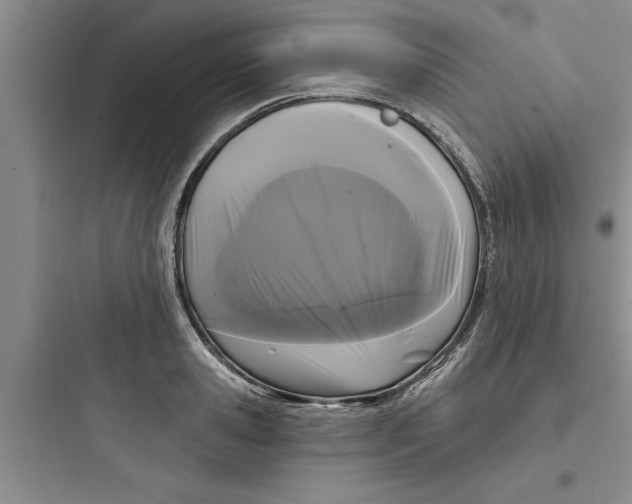 X0000097610941200803211720