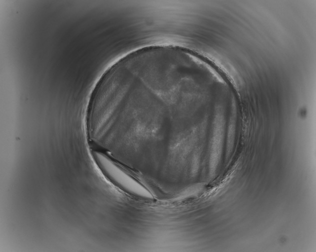 X0000097610943200803211720