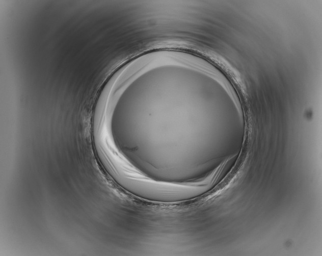 X0000097610945200803211720