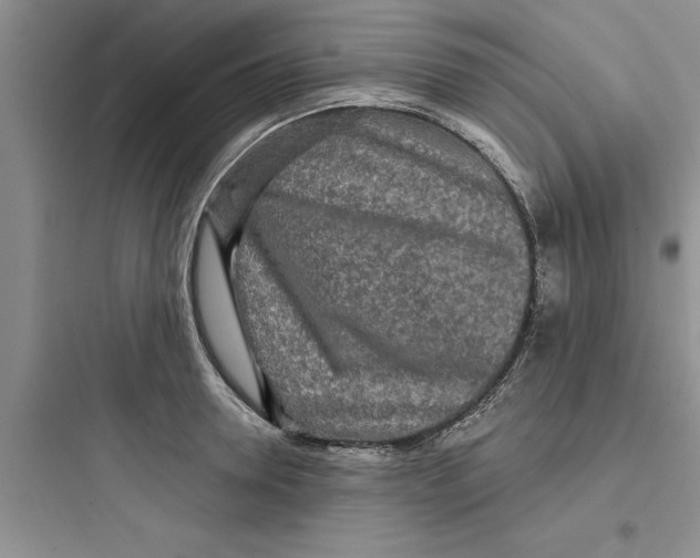 X0000097610946200803211720