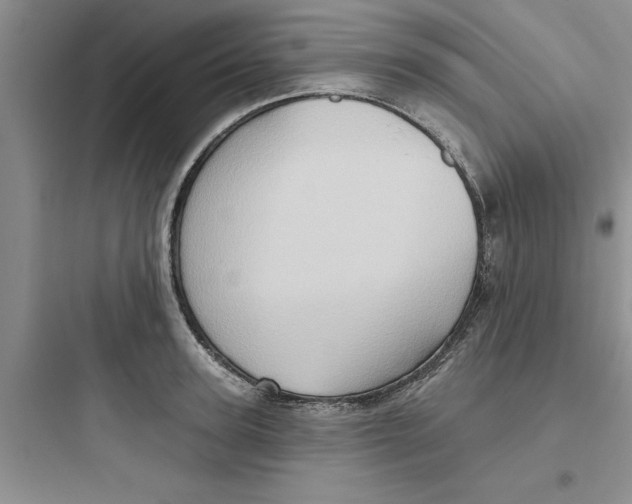 X0000097610947200803211720