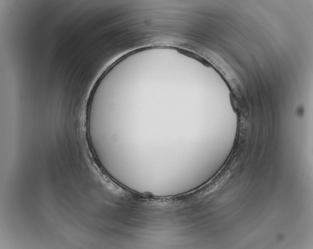 X0000097610948200803211720