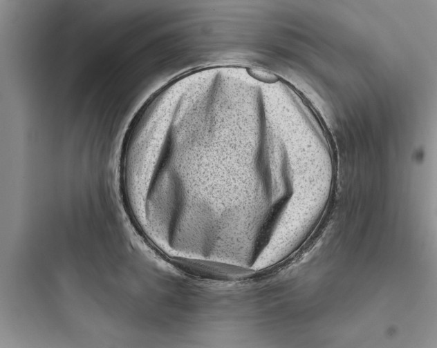 X0000097610949200803211720