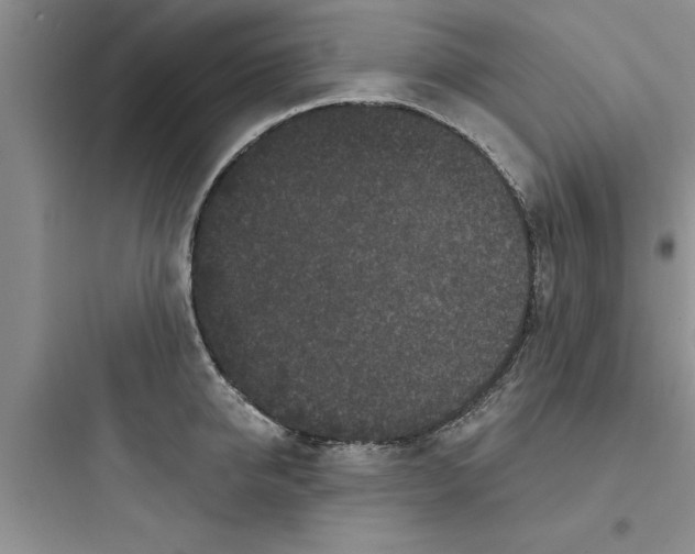 X0000097610950200803211720