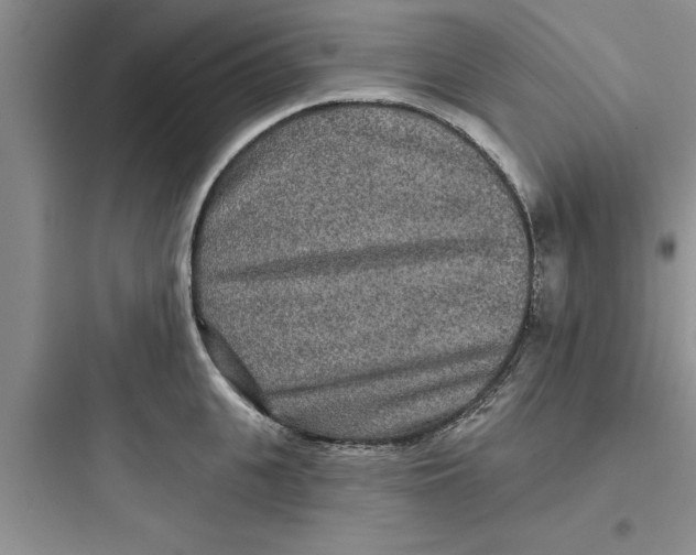 X0000097610951200803211720