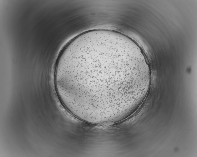 X0000097610952200803211720