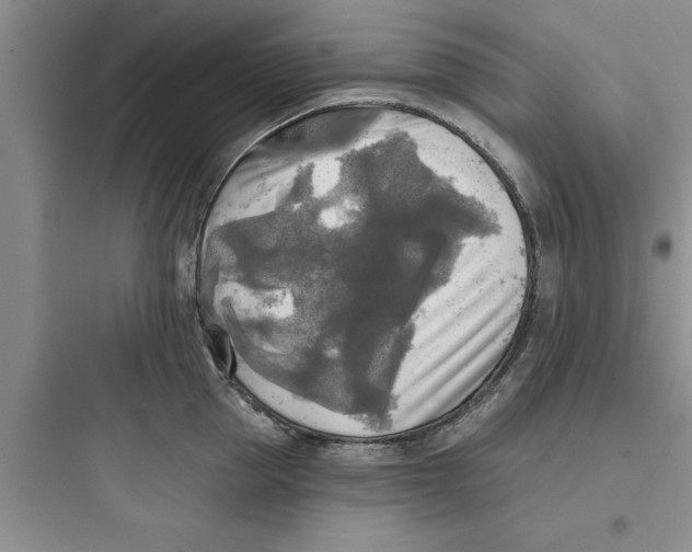 X0000097610953200803211720