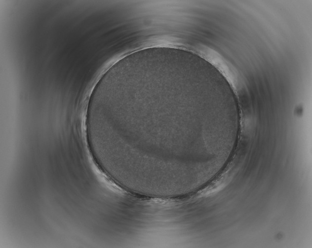 X0000097610954200803211720