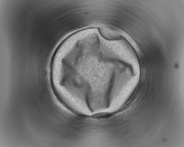 X0000097610955200803211720