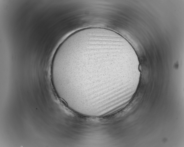 X0000097610956200803211720