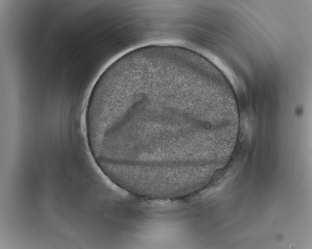 X0000097610959200803211720