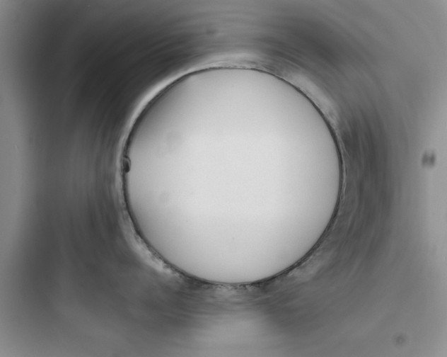 X0000097610960200803211720