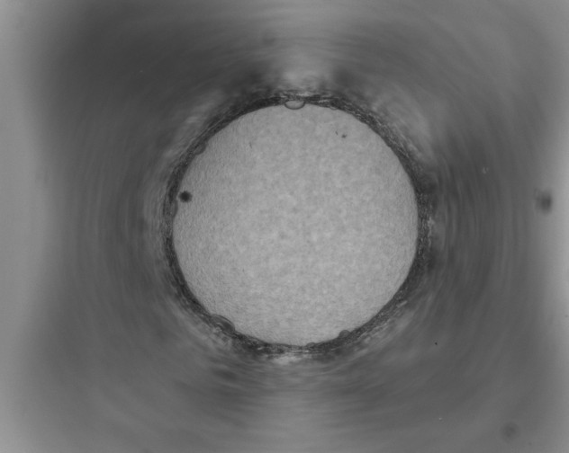 X0000097610961200803211719