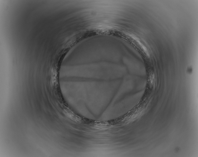 X0000097610964200803211719