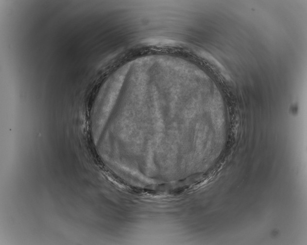 X0000097610966200803211719