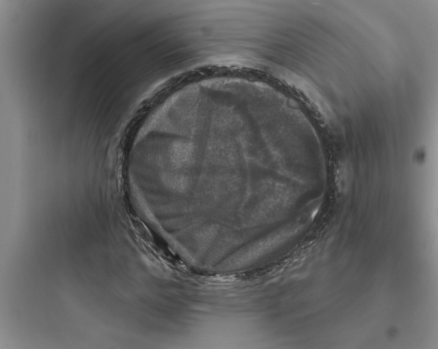 X0000097610968200803211719