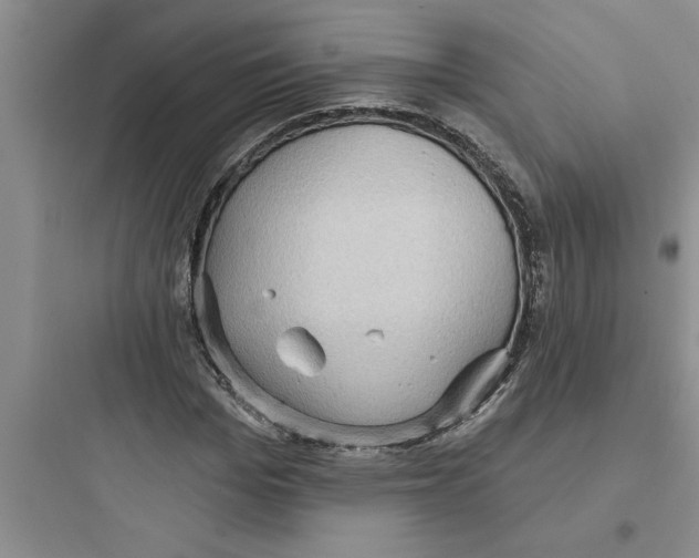 X0000097610969200803211719