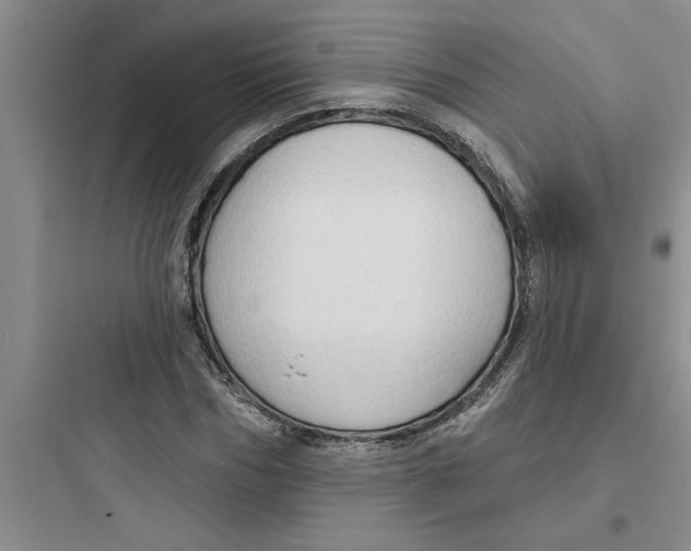 X0000097610970200803211719